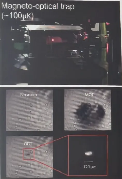 Camera images of the magneto-optical trap and of atoms held in the optical dipole trap